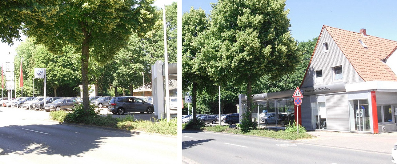 Außenansicht Autohaus Röttering mit Gelände